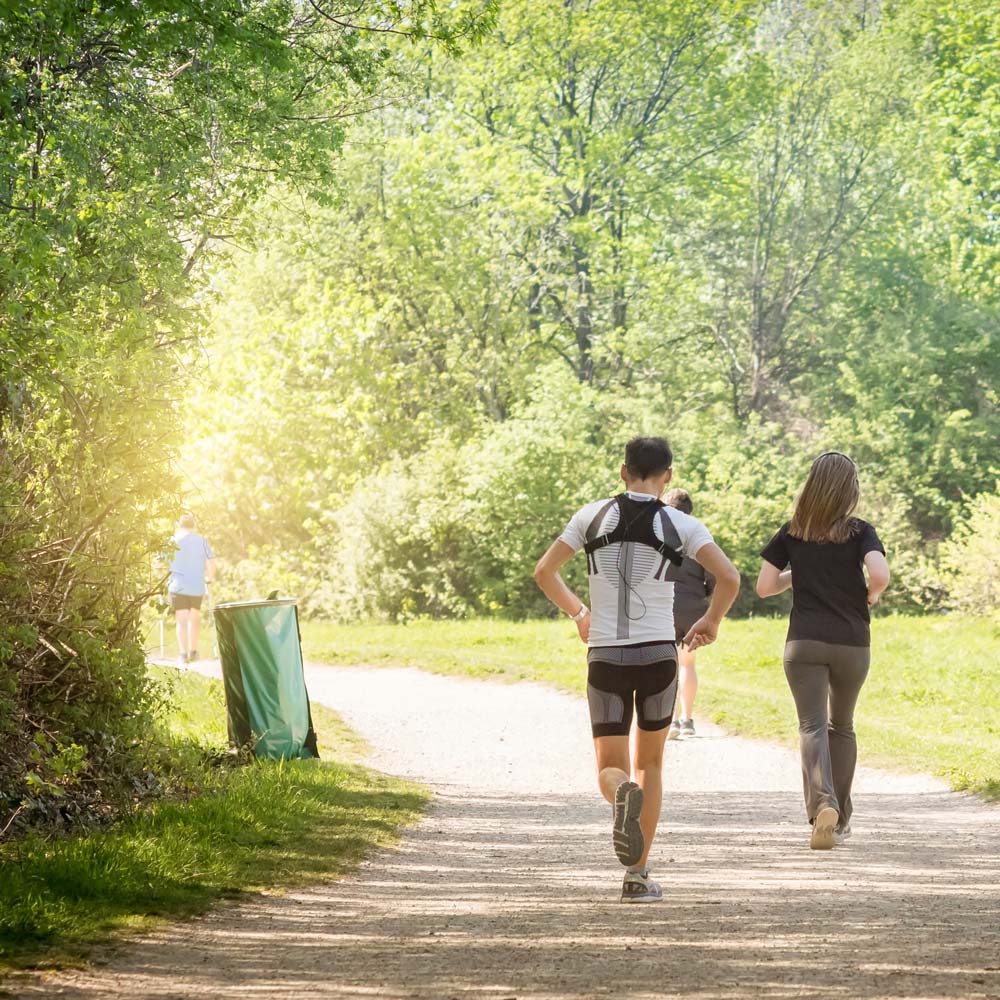 Bild zeigt einen Park mit 2 Joggern